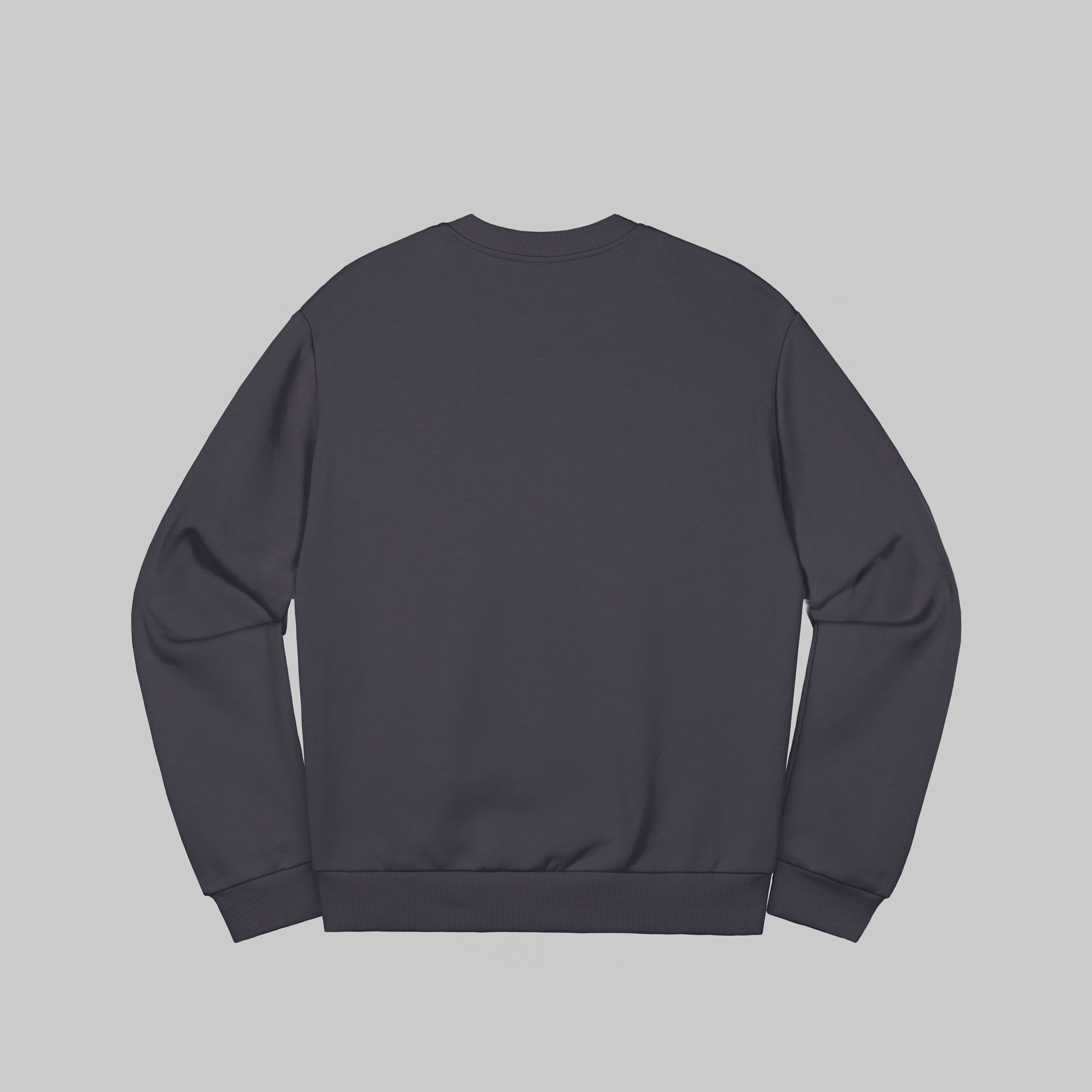 sweatshirt-asp2